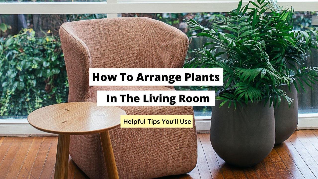 How To Arrange Plants In The Living Room - Craftsonfire