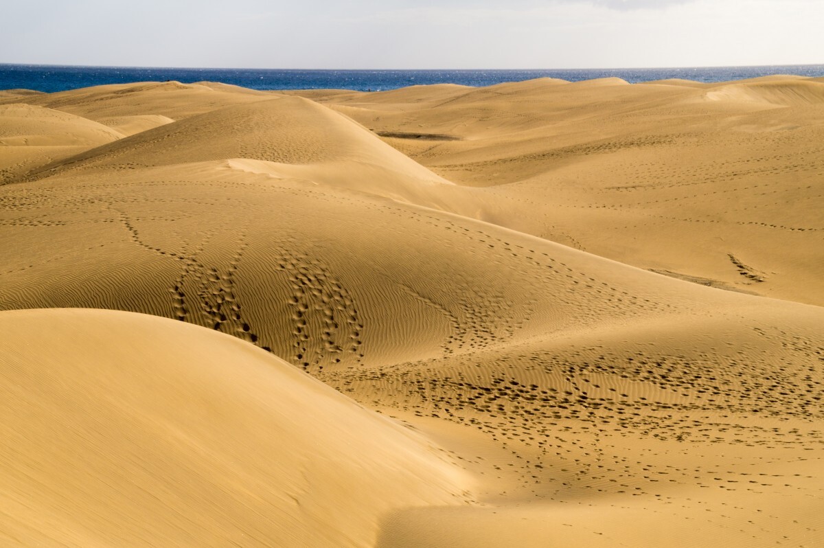 Free Images : landscape, desert, dune, grassland, morocco, habitat ...